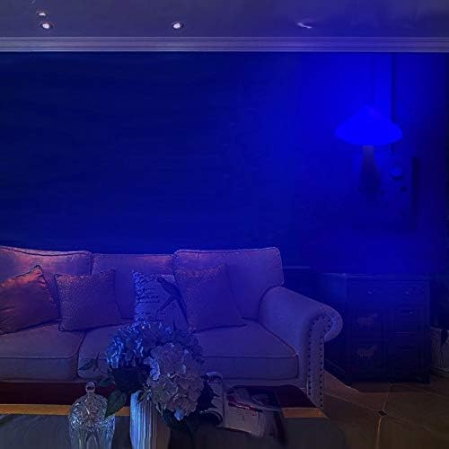 AUSAYE Blue Led Lamp Mushroom Nigh Light,Plug in Nightlight,Sensor Night Lights for Kids Adults Bedroom,Bathroom,Toilet,Stairs,Kitchen,Hallway Christmas Thanksgiving Gifts