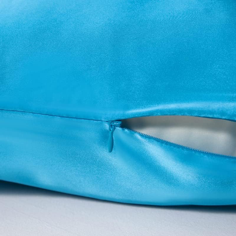 Mulberry Silk Pillowcase for Hair and Skin,Queen Size Cooling Silk Pillow Case with Hidden Zipper,Allergen Proof Dual Sides Soft Breathable Smooth Silk Pillow Cover for Women(Queen,Ice+ Blue)