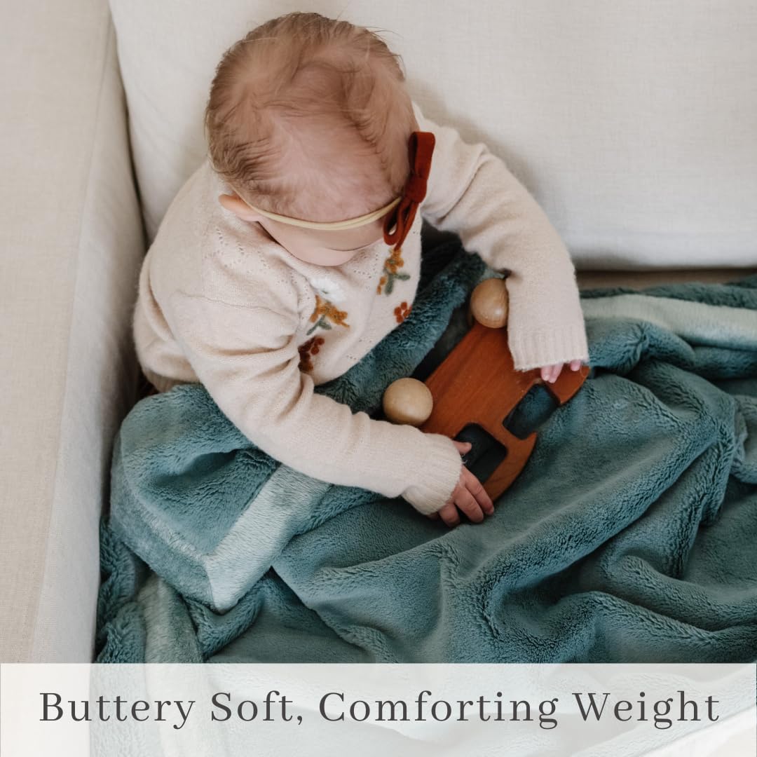 SARANONI Security Blankets for Babies Super Soft Boutique Quality Lush Luxury Baby Blanket (Mini 15" x 20", Eucalyptus)