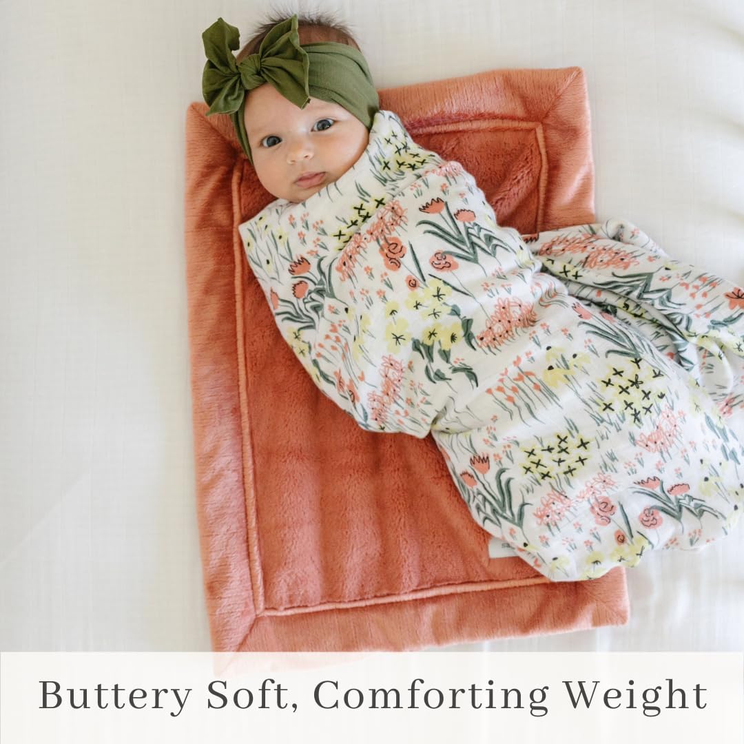 SARANONI Security Blankets for Babies Super Soft Boutique Quality Lush Luxury Baby Blanket (Mini 20" x 15", Clay)