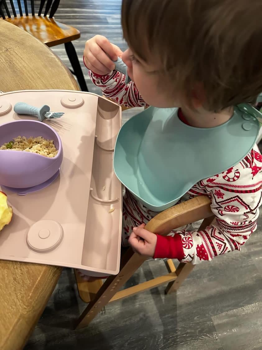 PandaEar Baby Toddler Fork and Spoon Utensil Set, 6 Pack Silicone Stainless Steel Silverware Spoon Fork for Babies Toddler, BPA Free with Silicone Holding Anti-Choke Design (Green Blue Brown)