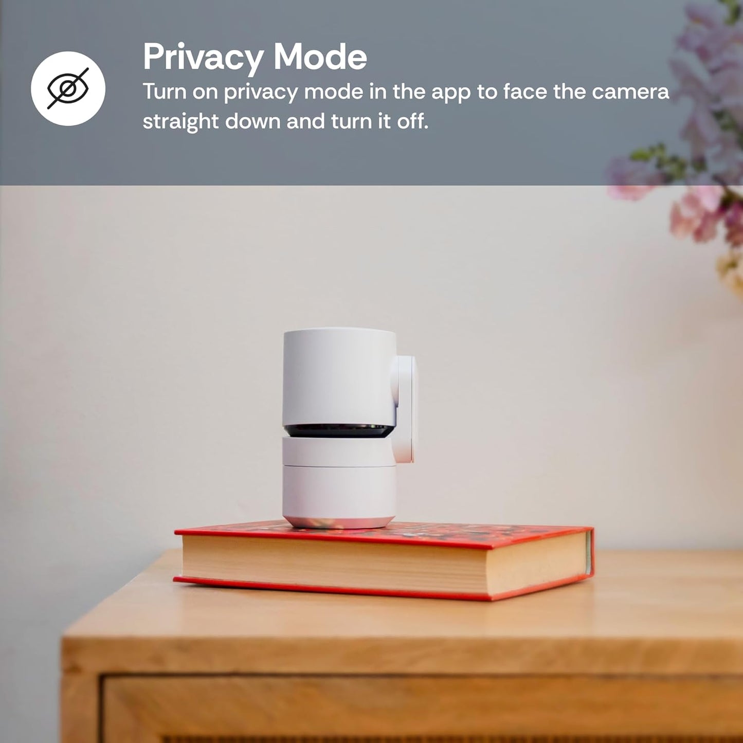 Luna Cameras for Home Security Indoor, Advanced AI Motion Detection, 360° Pan/Tilt, Plug-in, Night Vision, 2.4GHz WiFi, 2-Way Audio, Pet Camera with Phone App, Easy DIY Surveillance System (Black)