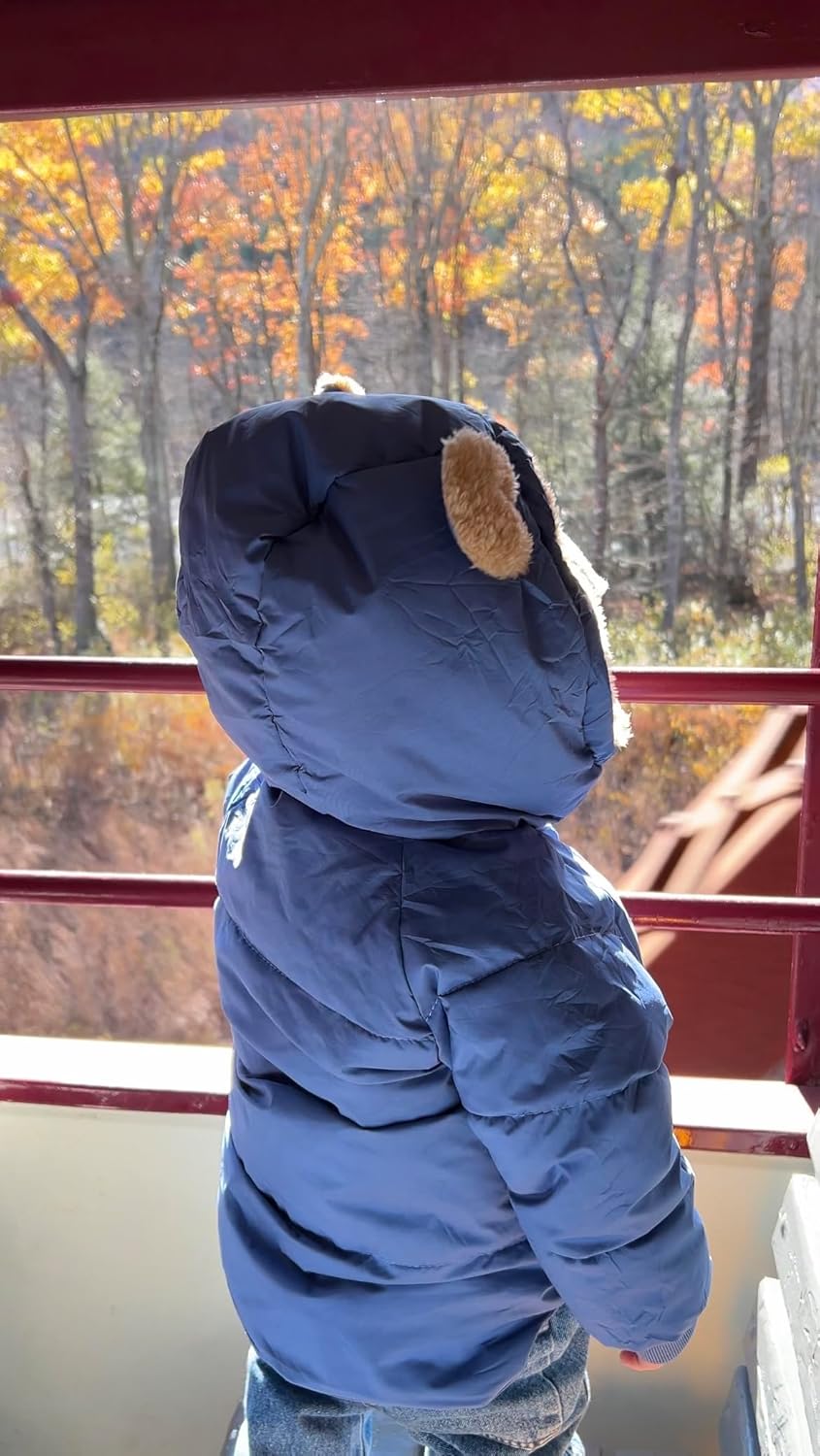 TUONROAD Baby Girls Coats for 6 Months-5 Years Toddlers Boy Winter Jacket Warm Bear Hooded Outdoor Coats Size 5