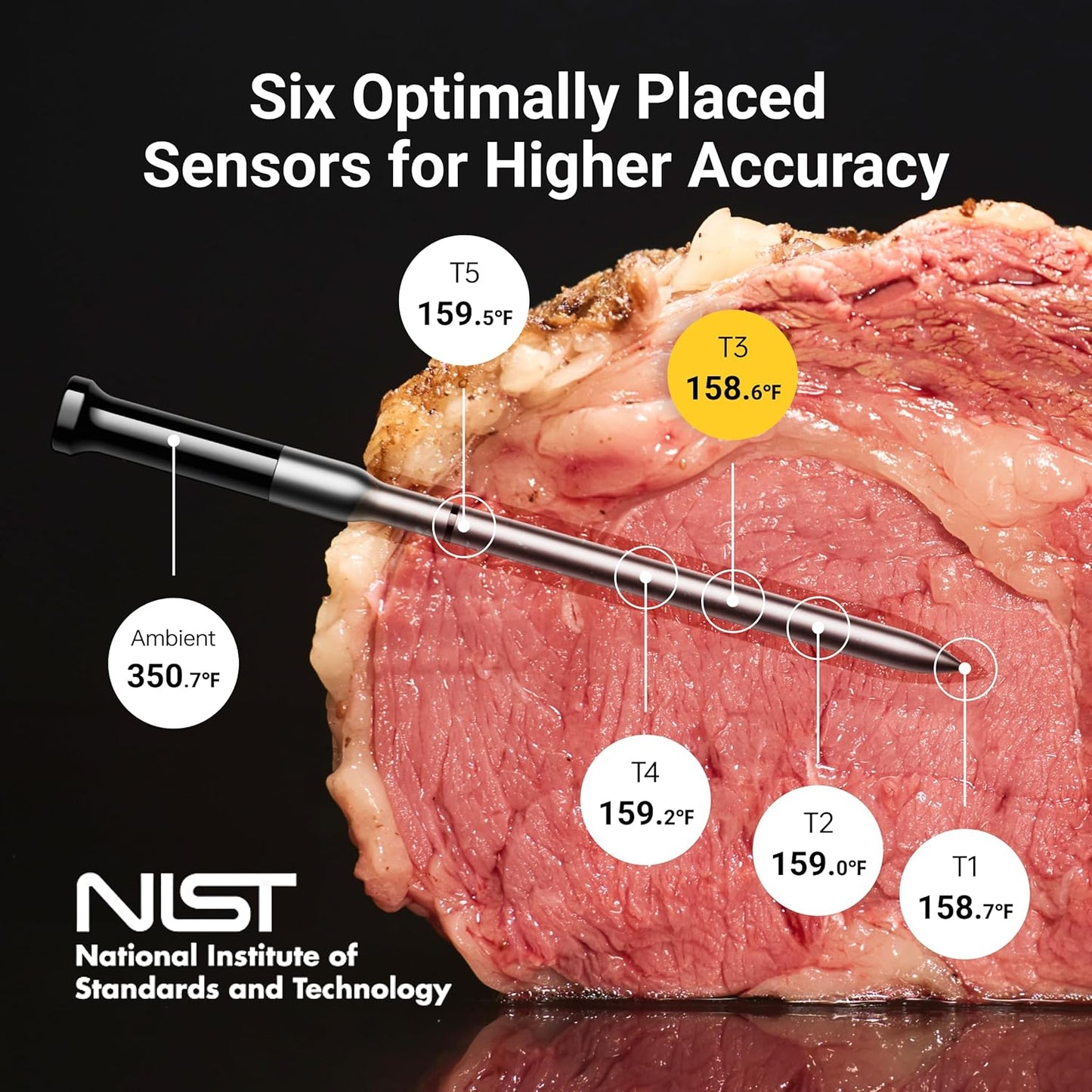 Wireless Bluetooth Smart Meat Thermometer: Standalone Base, Smart WiFi Thermometer with Sub-1G, 6 Sensors NIST Certified Accuracy, 2 Probes, for BBQ, Grill, Oven, Smoker, Rotisserie