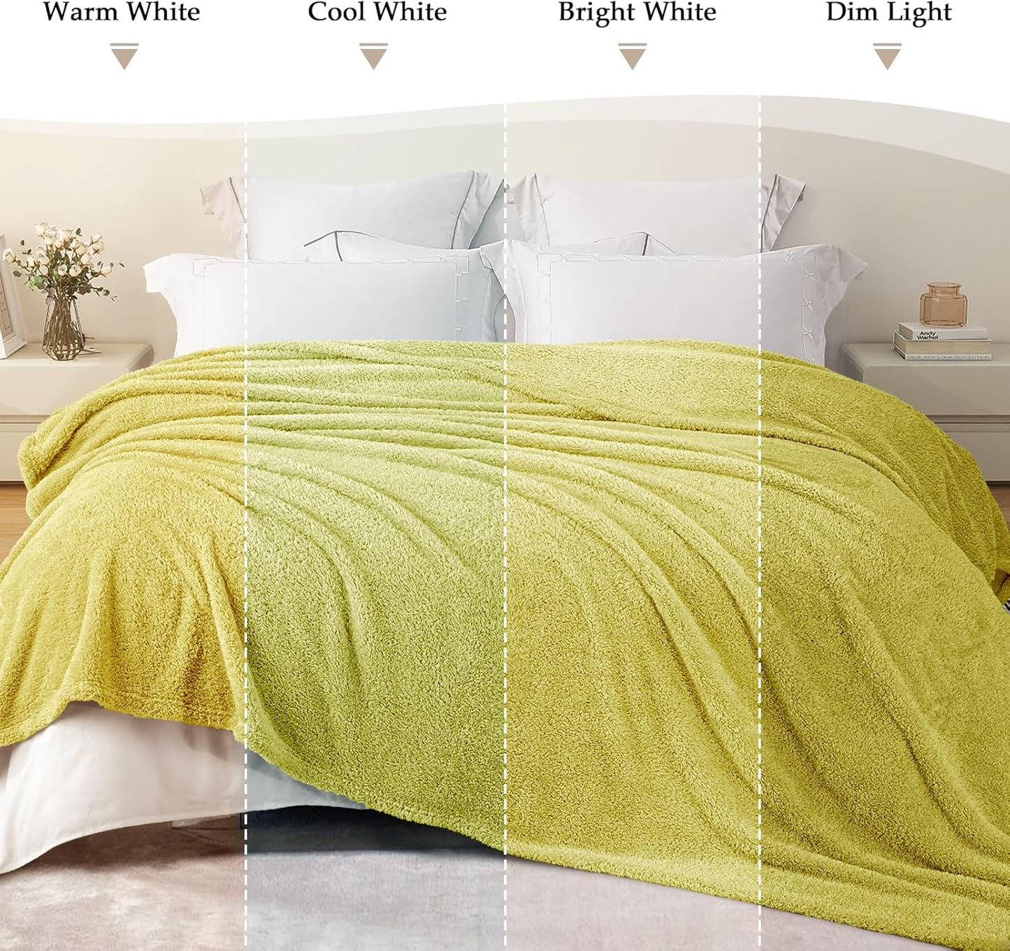 Exclusivo Mezcla Fleece Blanket for Couch, Soft and Cozy Queen Blankets for Women Men Girls Kids, Suitable for All Seasons, Light Green, 90x90 Inches